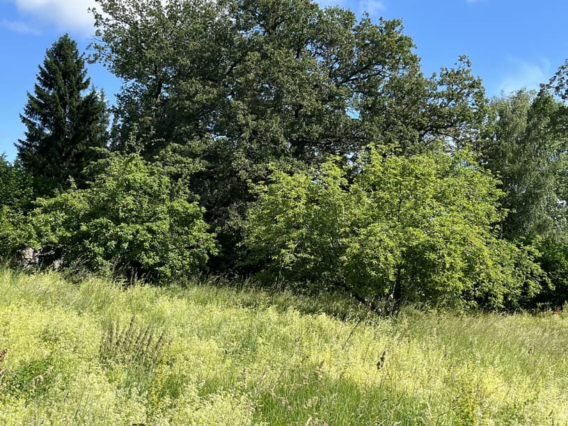 Fågelviksvägen 3, Värmdö – bild 7