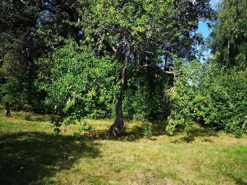 Fågelviksvägen 3, Värmdö – bild 13