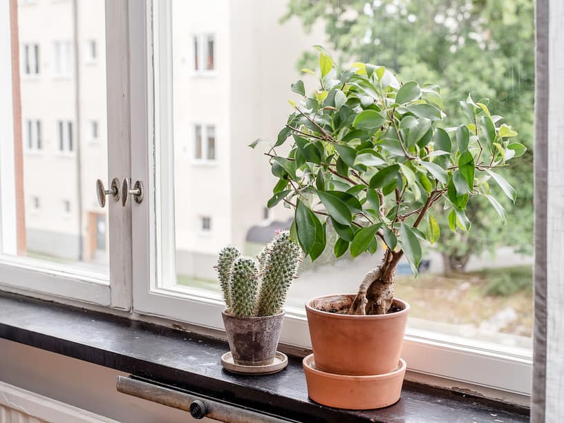 Skånegatan 88, Södermalm – bild 5