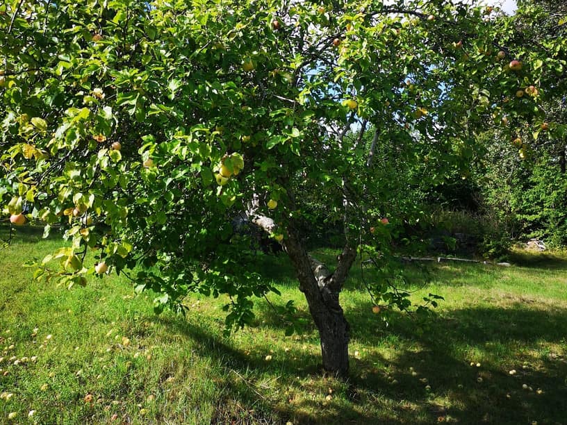 Fågelviksvägen 3, Värmdö – bild 9