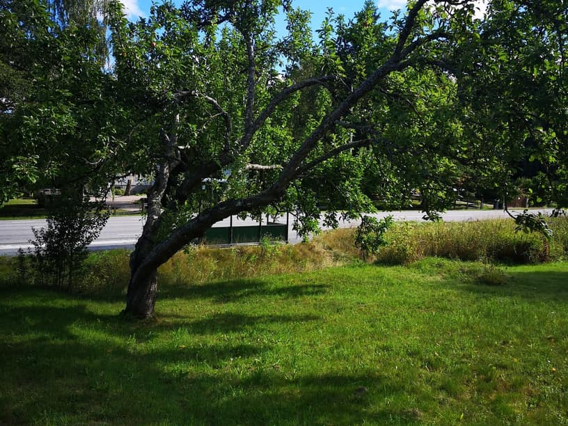 Fågelviksvägen 3, Värmdö – bild 14